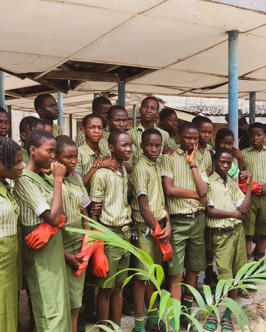Tree Planting Exercise in partnership with LASEPA
