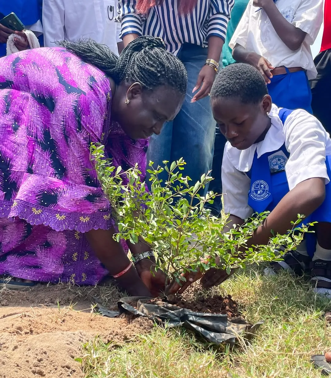 Ibeju-Lekki Tree Donation and Tree Planting